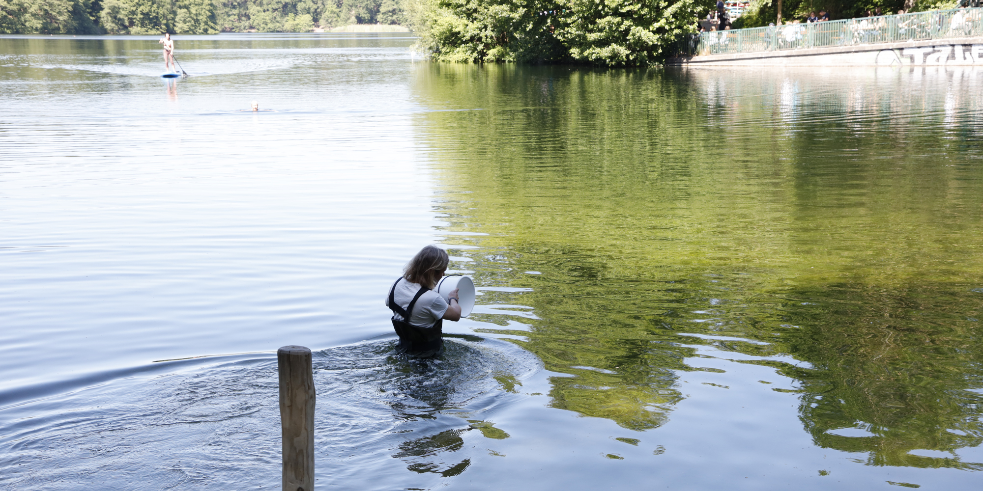 Ein Mann mit wasserfester Latzhose steht bis zum Bauch im Wasser eines Sees und schöpft mit dem Eimer eine Wasserprobe.