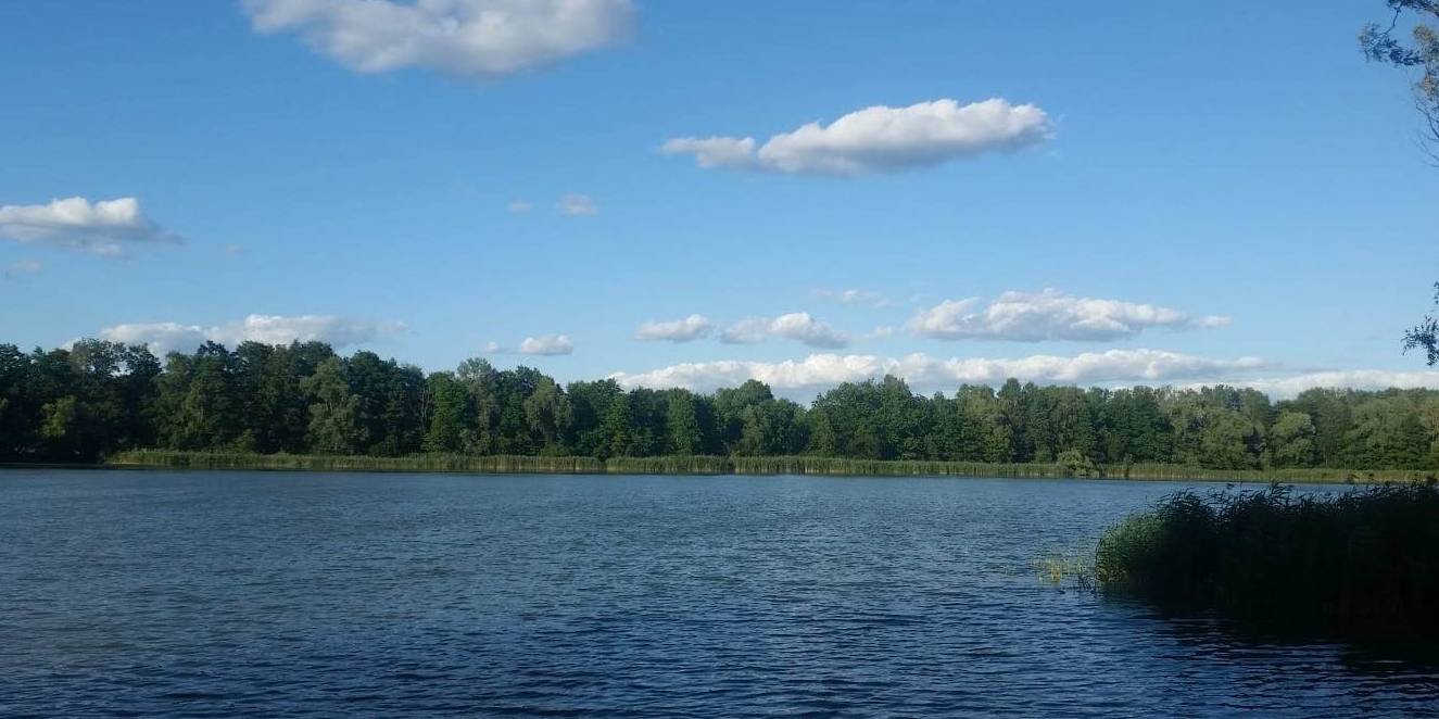 Flusslandschaft mit bewaldetem Ufer