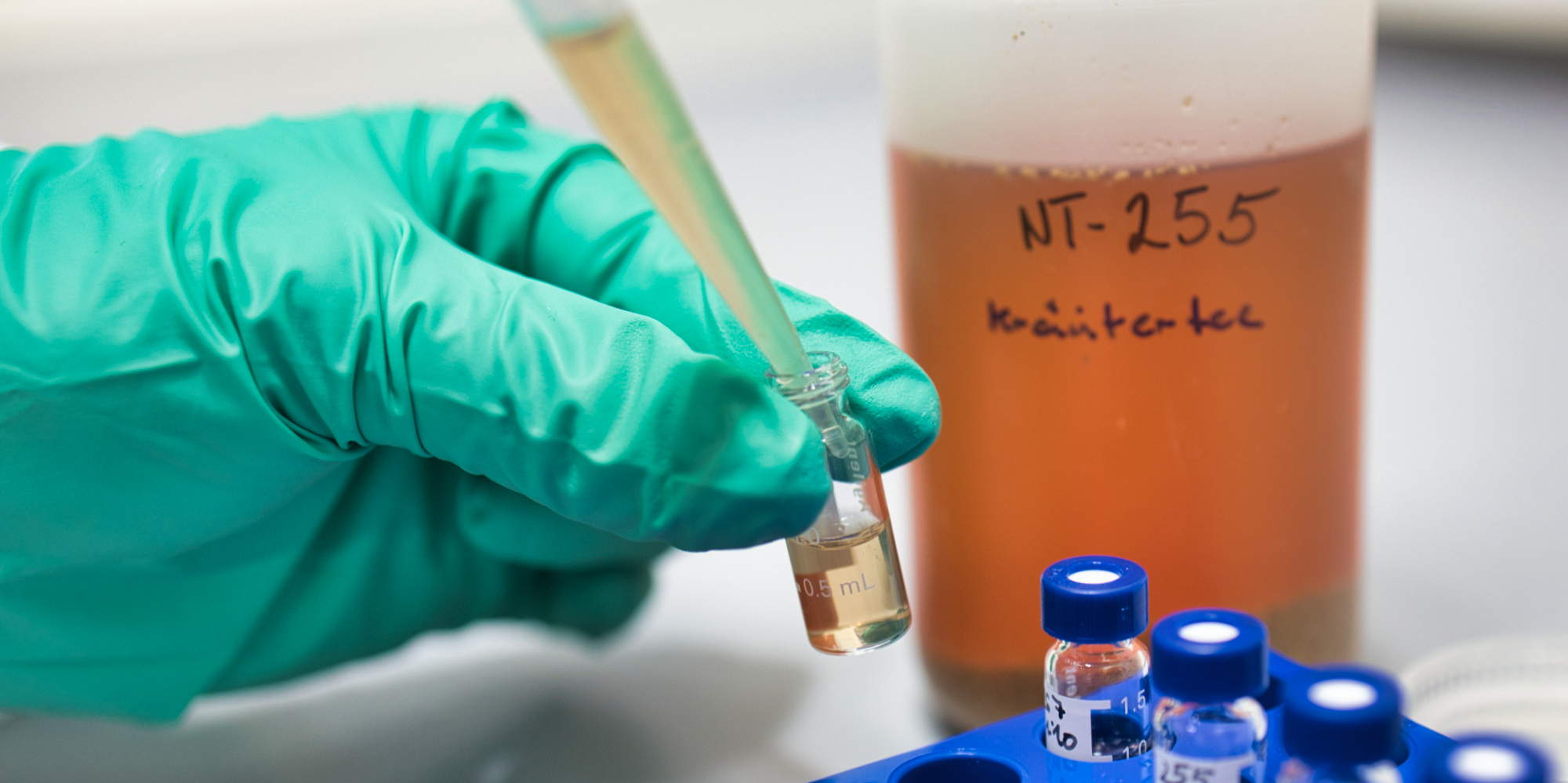 Hand mit Gummihandschuhen hält ein Messgefäß und pipettiert mit einer Mikropipette Probenflüssigkeit hinein. Im Hintergrund steht ein Gefäß mit der Kräuterteeprobe, an der Seite steht ein Halter mit Reaktionsgefäßen.