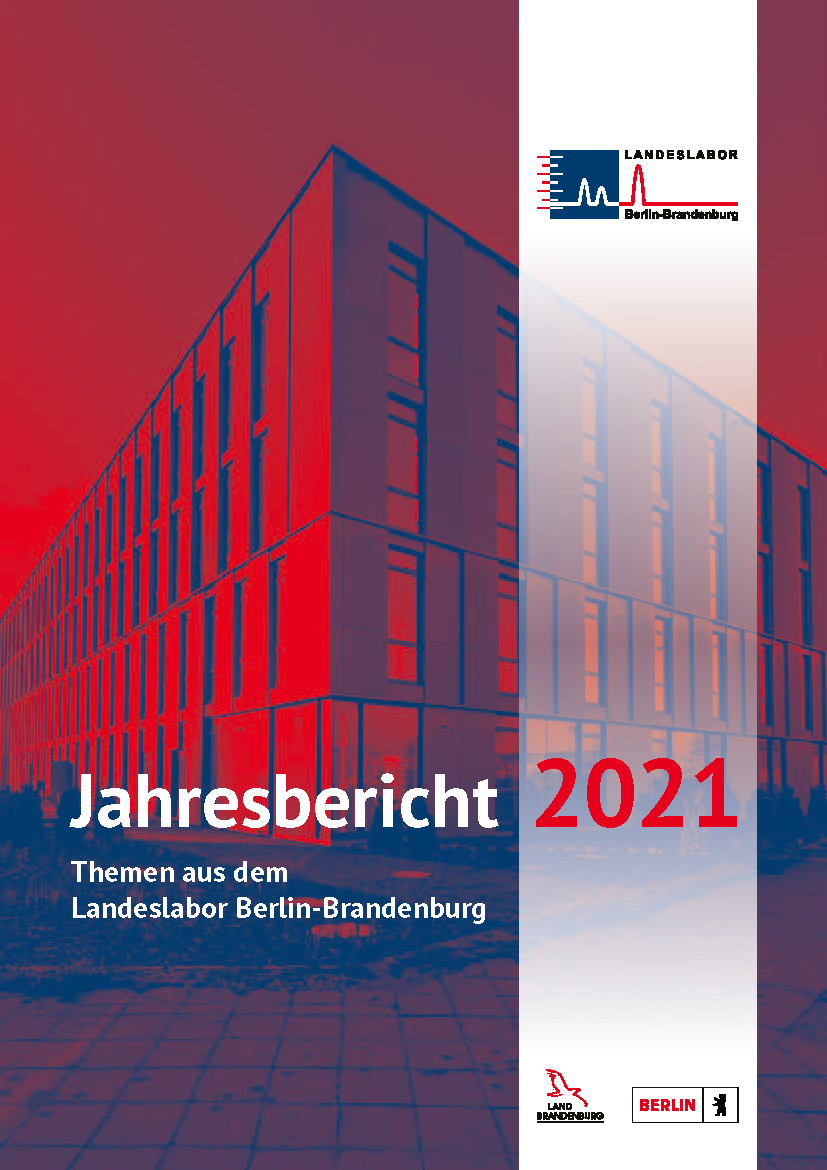 Bild vergrößern (Bild: Titelseite Jahresbericht 2021)