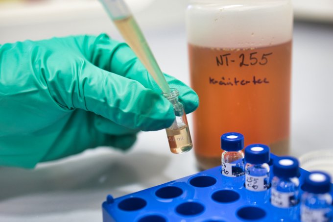 Hand mit Gummihandschuhen hält ein Messgefäß und pipettiert mit einer Mikropipette Probenflüssigkeit hinein. Im Hintergrund steht ein Gefäß mit der Kräuterteeprobe, an der Seite steht ein Halter mit Reaktionsgefäßen.